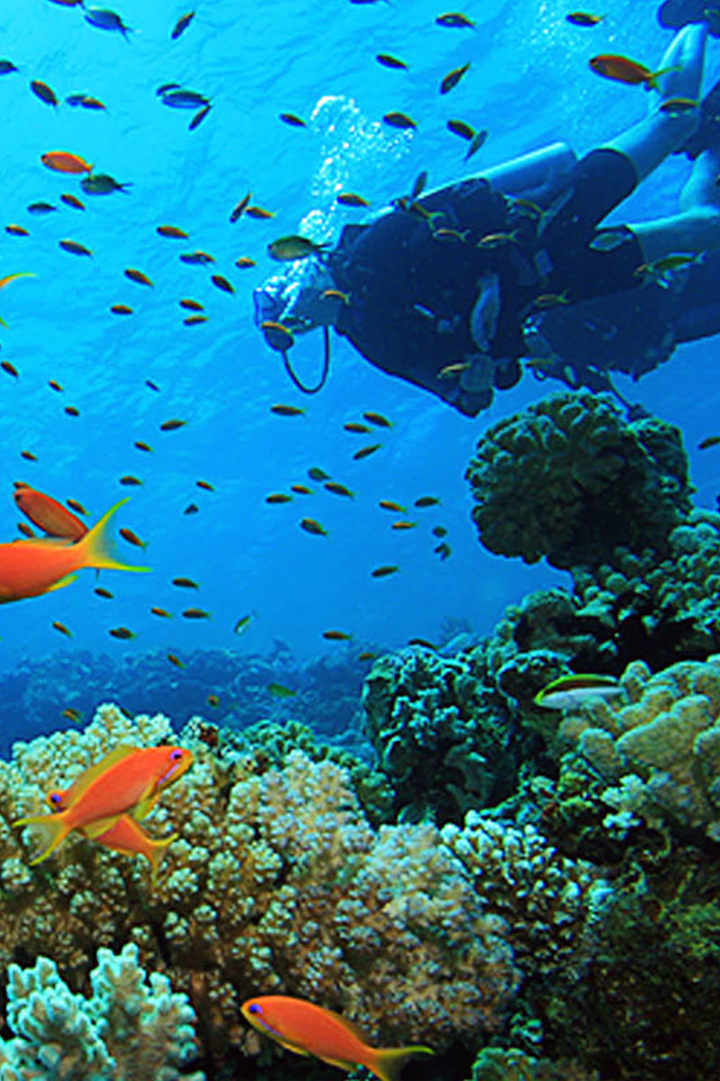 Guide to the Best Scuba Diving in Hawaii