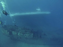 Oahu Diving