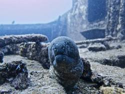 Oahu Diving
