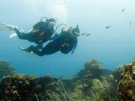 Scuba Diving in Honolulu and Waikiki