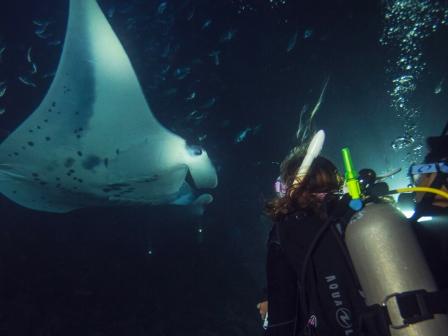 Scuba Diving in Honolulu and Waikiki